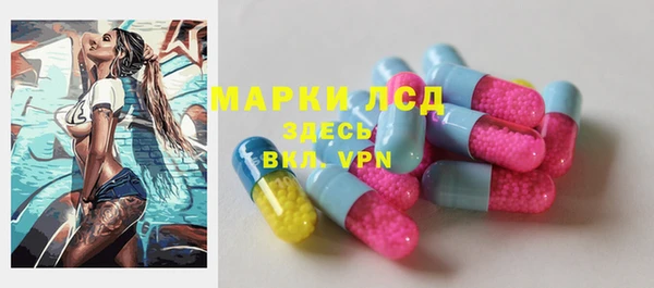 мяу мяу мука Алзамай